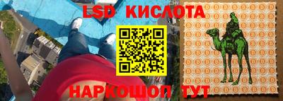 гашик Лесосибирск